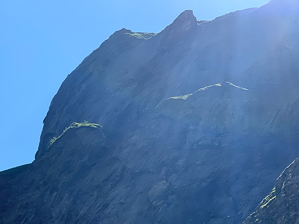 weisstannental